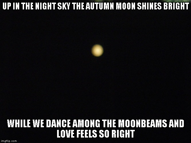 Autumn Moon | UP IN THE NIGHT SKY THE AUTUMN MOON SHINES BRIGHT; WHILE WE DANCE AMONG THE MOONBEAMS
AND LOVE FEELS SO RIGHT | image tagged in autumn,moon,autumn moon,moonbeams,love,night sky | made w/ Imgflip meme maker