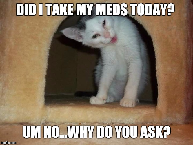 DID I TAKE MY MEDS TODAY? UM NO...WHY DO YOU ASK? | image tagged in mental illness | made w/ Imgflip meme maker