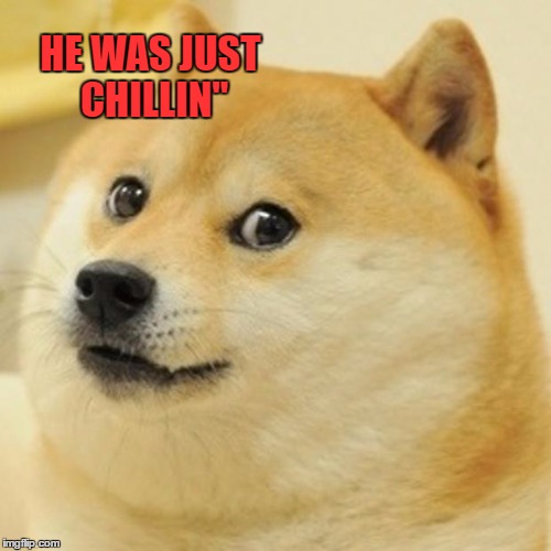Doge Meme | HE WAS JUST CHILLIN" | image tagged in memes,doge | made w/ Imgflip meme maker
