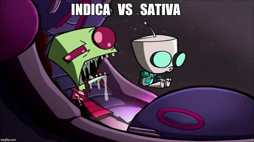 INDICA   VS   SATIVA | image tagged in invader zim,indica vs sativa,420,weed,memes | made w/ Imgflip meme maker