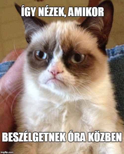 Grumpy Cat Meme | ÍGY NÉZEK, AMIKOR; BESZÉLGETNEK ÓRA KÖZBEN | image tagged in memes,grumpy cat | made w/ Imgflip meme maker