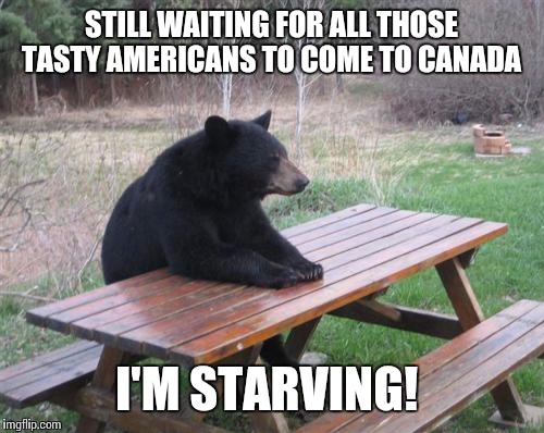 Bad Luck Bear | STILL WAITING FOR ALL THOSE TASTY AMERICANS TO COME TO CANADA; I'M STARVING! | image tagged in memes,bad luck bear | made w/ Imgflip meme maker