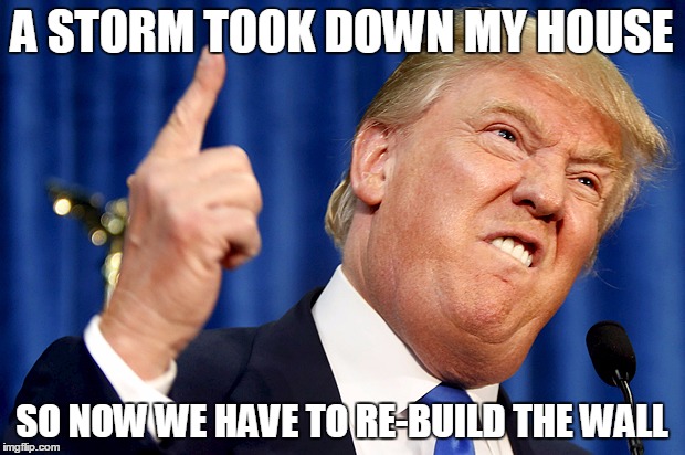 Donald Trump | A STORM TOOK DOWN MY HOUSE; SO NOW WE HAVE TO RE-BUILD THE WALL | image tagged in donald trump | made w/ Imgflip meme maker