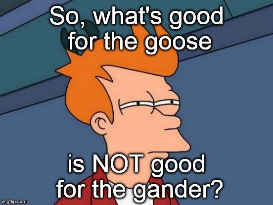 Futurama Fry Meme | So, what's good for the goose is NOT good for the gander? | image tagged in memes,futurama fry | made w/ Imgflip meme maker