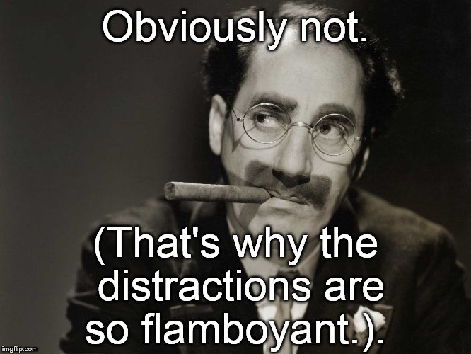 Thoughtful Groucho | Obviously not. (That's why the distractions are so flamboyant.). | image tagged in thoughtful groucho | made w/ Imgflip meme maker