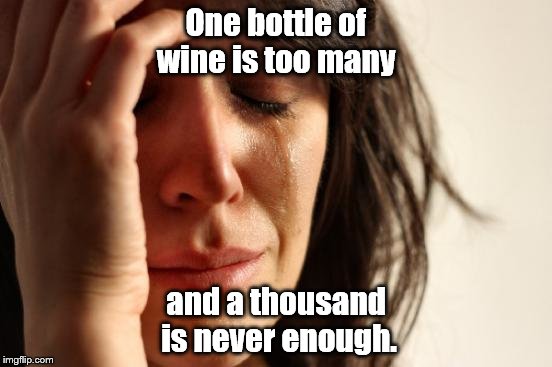 First World Problems Meme | One bottle of wine is too many and a thousand is never enough. | image tagged in memes,first world problems | made w/ Imgflip meme maker
