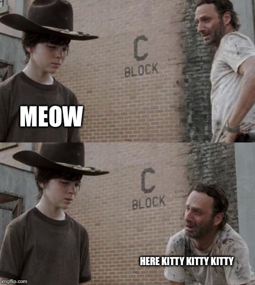 Rick and Carl | MEOW; HERE KITTY KITTY KITTY | image tagged in memes,rick and carl | made w/ Imgflip meme maker
