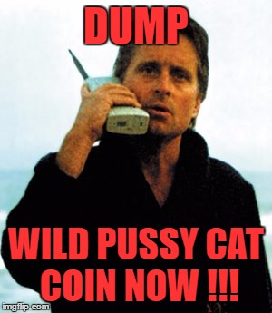 DUMP; WILD PUSSY CAT COIN NOW !!! | made w/ Imgflip meme maker