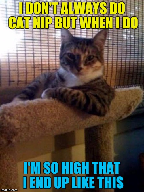welp no idea for an image title | I DON'T ALWAYS DO CAT NIP BUT WHEN I DO; I'M SO HIGH THAT I END UP LIKE THIS | image tagged in memes,the most interesting cat in the world | made w/ Imgflip meme maker