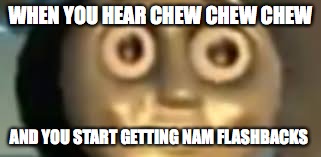 nam | WHEN YOU HEAR CHEW CHEW CHEW; AND YOU START GETTING NAM FLASHBACKS | image tagged in funny | made w/ Imgflip meme maker