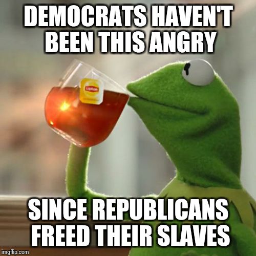 But That's None Of My Business Meme | DEMOCRATS HAVEN'T BEEN THIS ANGRY; SINCE REPUBLICANS FREED THEIR SLAVES | image tagged in memes,but thats none of my business,kermit the frog | made w/ Imgflip meme maker