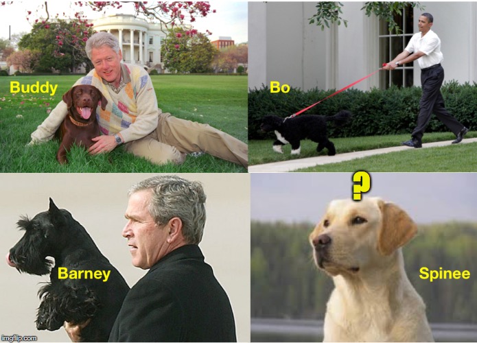 PPOTUS: Presidential Pets Of The United States | ? | image tagged in dogs,president | made w/ Imgflip meme maker