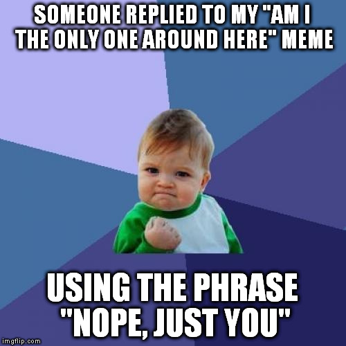 Success Kid | SOMEONE REPLIED TO MY "AM I THE ONLY ONE AROUND HERE" MEME; USING THE PHRASE "NOPE, JUST YOU" | image tagged in memes,success kid | made w/ Imgflip meme maker
