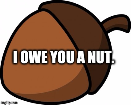 I OWE YOU A NUT. | image tagged in nut | made w/ Imgflip meme maker