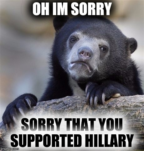 Confession Bear | OH IM SORRY; SORRY THAT YOU SUPPORTED HILLARY | image tagged in memes,confession bear | made w/ Imgflip meme maker