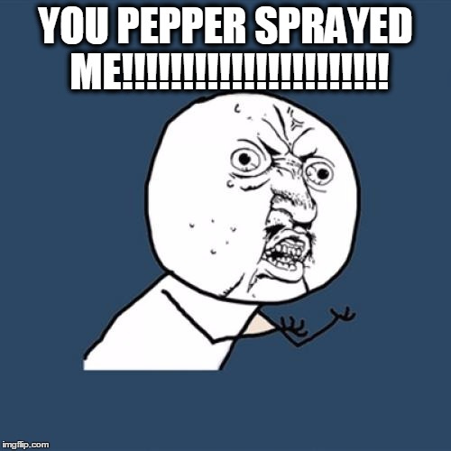 Y U No Meme | YOU PEPPER SPRAYED ME!!!!!!!!!!!!!!!!!!!!!! | image tagged in memes,y u no | made w/ Imgflip meme maker