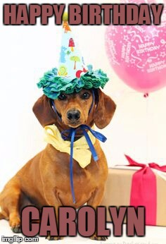 dachshund birthday  | HAPPY BIRTHDAY; CAROLYN | image tagged in dachshund birthday | made w/ Imgflip meme maker