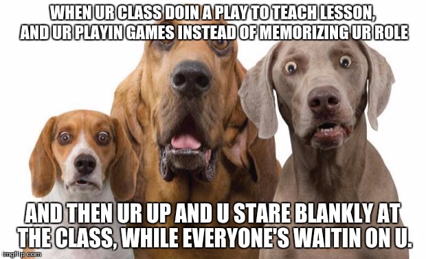 surprised dogs | WHEN UR CLASS DOIN A PLAY TO TEACH LESSON, AND UR PLAYIN GAMES INSTEAD OF MEMORIZING UR ROLE; AND THEN UR UP AND U STARE BLANKLY AT THE CLASS, WHILE EVERYONE'S WAITIN ON U. | image tagged in surprised dogs | made w/ Imgflip meme maker