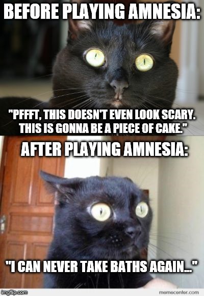 BEFORE PLAYING AMNESIA:; "PFFFT, THIS DOESN'T EVEN LOOK SCARY. THIS IS GONNA BE A PIECE OF CAKE."; AFTER PLAYING AMNESIA:; "I CAN NEVER TAKE BATHS AGAIN..." | image tagged in video games,amnesia,scary,scared cat,horror,black cat | made w/ Imgflip meme maker
