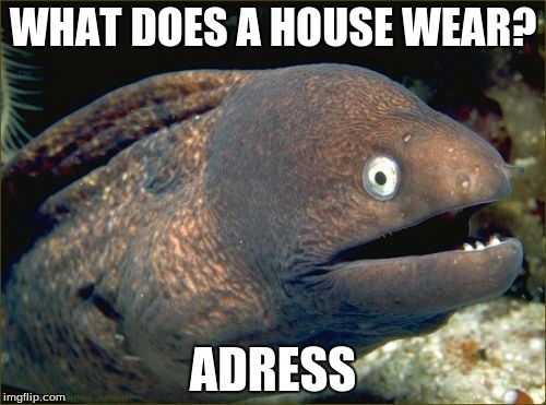 Bad Joke Eel | WHAT DOES A HOUSE WEAR? ADRESS | image tagged in memes,bad joke eel | made w/ Imgflip meme maker