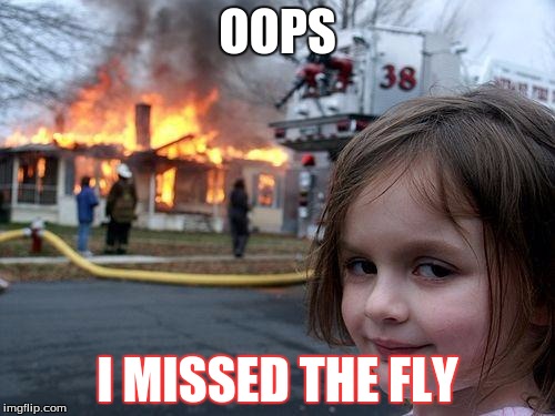 Disaster Girl | OOPS; I MISSED THE FLY | image tagged in memes,disaster girl | made w/ Imgflip meme maker