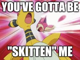 Stop it, Skitty | YOU'VE GOTTA BE; "SKITTEN" ME | image tagged in are you kidding me | made w/ Imgflip meme maker