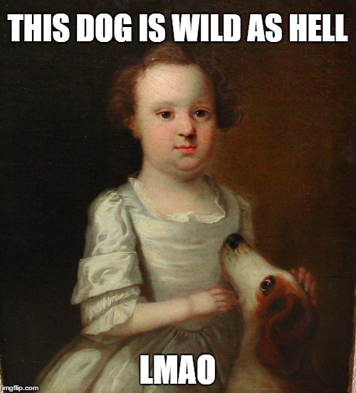 THIS DOG IS WILD AS HELL; LMAO | image tagged in dog | made w/ Imgflip meme maker
