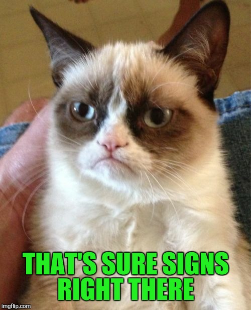 Grumpy Cat Meme | THAT'S SURE SIGNS RIGHT THERE | image tagged in memes,grumpy cat | made w/ Imgflip meme maker