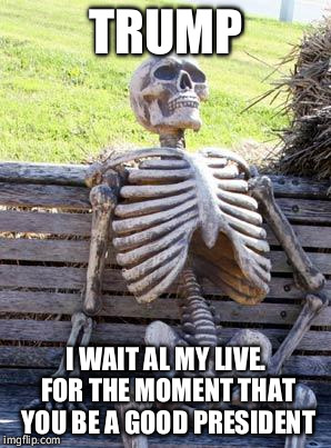 Waiting Skeleton | TRUMP; I WAIT AL MY LIVE. FOR THE MOMENT THAT YOU BE A GOOD PRESIDENT | image tagged in memes,waiting skeleton | made w/ Imgflip meme maker