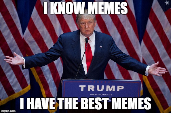 Donald Trump | I KNOW MEMES; I HAVE THE BEST MEMES | image tagged in donald trump | made w/ Imgflip meme maker