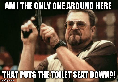 Am I The Only One Around Here | AM I THE ONLY ONE AROUND HERE; THAT PUTS THE TOILET SEAT DOWN?! | image tagged in memes,am i the only one around here | made w/ Imgflip meme maker