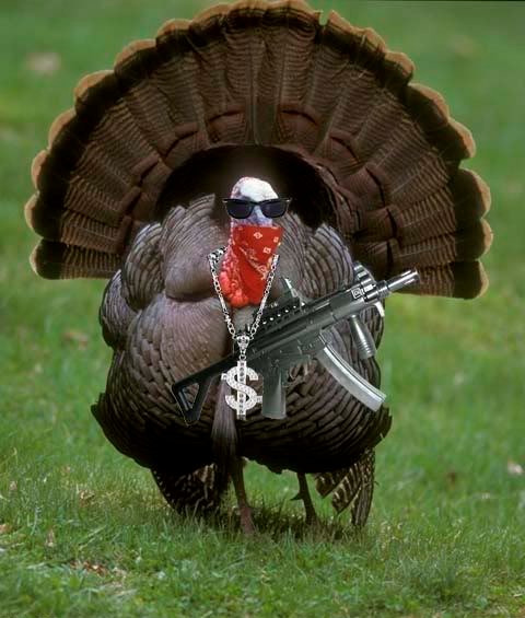 Gangsta Turkey Blank Meme Template