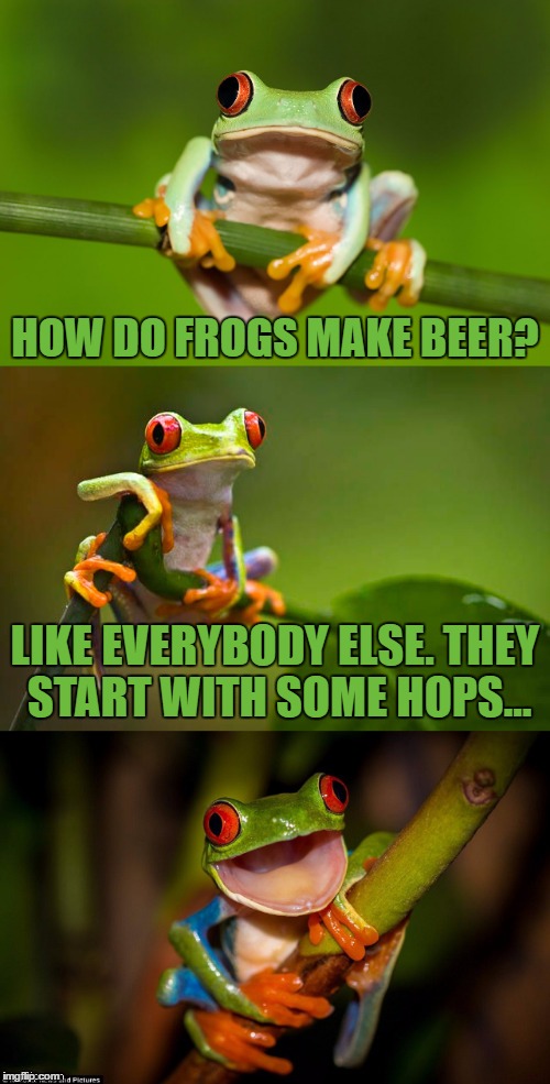 Frog Pun | Template By DashHopes | HOW DO FROGS MAKE BEER? LIKE EVERYBODY ELSE. THEY START WITH SOME HOPS... | image tagged in frog puns,memes,animals,bad pun,beer,funny | made w/ Imgflip meme maker