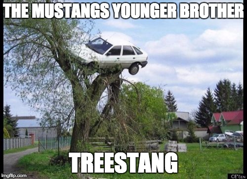 Secure Parking | THE MUSTANGS YOUNGER BROTHER; TREESTANG | image tagged in memes,secure parking | made w/ Imgflip meme maker