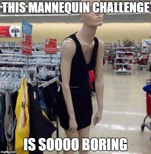 Teenage mannequin | THIS MANNEQUIN CHALLENGE; IS SOOOO BORING | image tagged in teenage mannequin | made w/ Imgflip meme maker