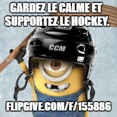 Hockey Minion | GARDEZ LE CALME ET SUPPORTEZ LE HOCKEY. FLIPGIVE.COM/F/155886 | image tagged in hockey minion | made w/ Imgflip meme maker