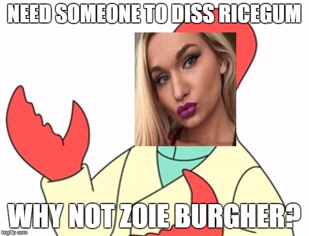 Why not Zoidberg | NEED SOMEONE TO DISS RICEGUM; WHY NOT ZOIE BURGHER? | image tagged in why not zoidberg | made w/ Imgflip meme maker