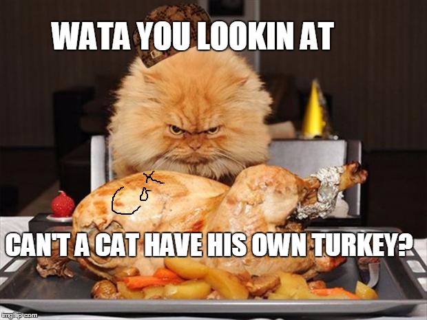 Cat having turkey | WATA YOU LOOKIN AT; CAN'T A CAT HAVE HIS OWN TURKEY? | image tagged in grumpy cat | made w/ Imgflip meme maker