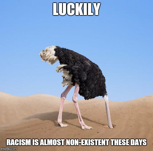 Ostrich | LUCKILY; RACISM IS ALMOST NON-EXISTENT THESE DAYS | image tagged in ostrich | made w/ Imgflip meme maker