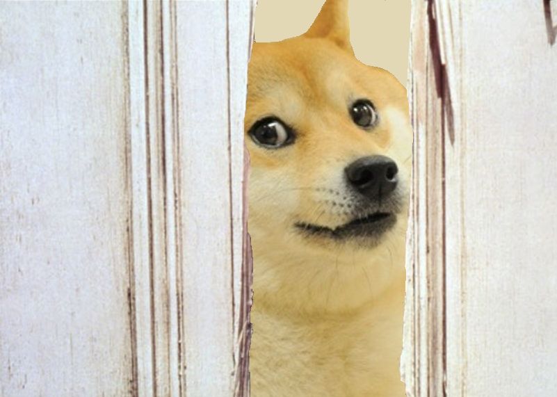 High Quality Doge The Shining Here's Johnny Blank Meme Template