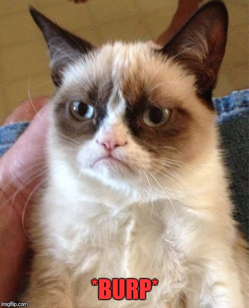 Grumpy Cat Meme | *BURP* | image tagged in memes,grumpy cat | made w/ Imgflip meme maker