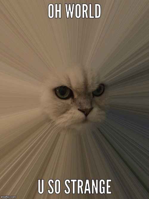 Fluffeh Cat Strange | image tagged in memes,fluffeh cat | made w/ Imgflip meme maker