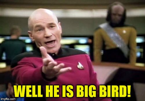 Picard Wtf Meme | WELL HE IS BIG BIRD! | image tagged in memes,picard wtf | made w/ Imgflip meme maker