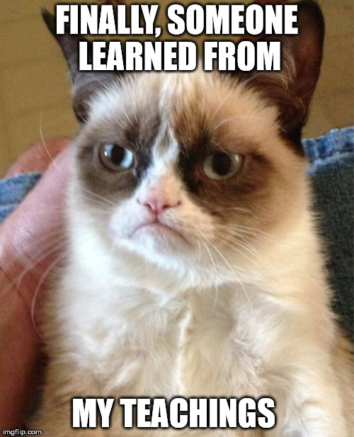 Grumpy Cat Meme | FINALLY, SOMEONE LEARNED FROM MY TEACHINGS | image tagged in memes,grumpy cat | made w/ Imgflip meme maker