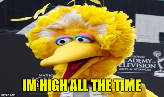 IM HIGH ALL THE TIME | made w/ Imgflip meme maker