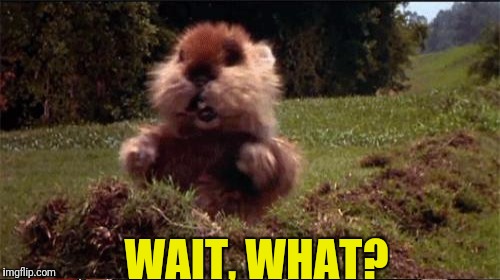 WAIT, WHAT? | made w/ Imgflip meme maker