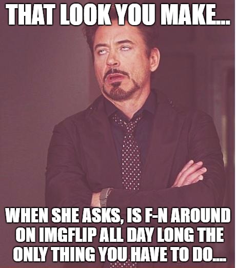 when the wife asks... | THAT LOOK YOU MAKE... WHEN SHE ASKS, IS F-N AROUND ON IMGFLIP ALL DAY LONG THE ONLY THING YOU HAVE TO DO.... | image tagged in memes,face you make robert downey jr | made w/ Imgflip meme maker