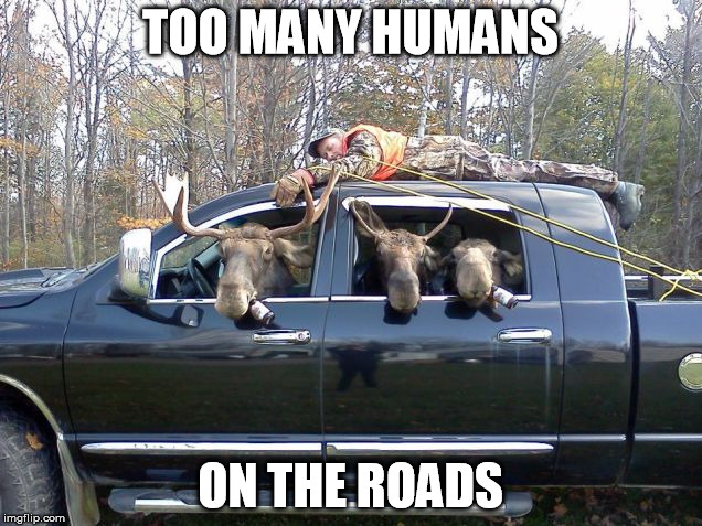TOO MANY HUMANS; ON THE ROADS | made w/ Imgflip meme maker