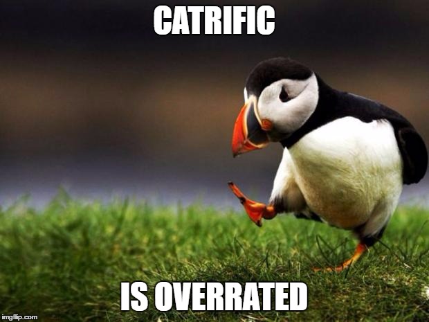 Unpopular Opinion Puffin | CATRIFIC; IS OVERRATED | image tagged in memes,unpopular opinion puffin | made w/ Imgflip meme maker