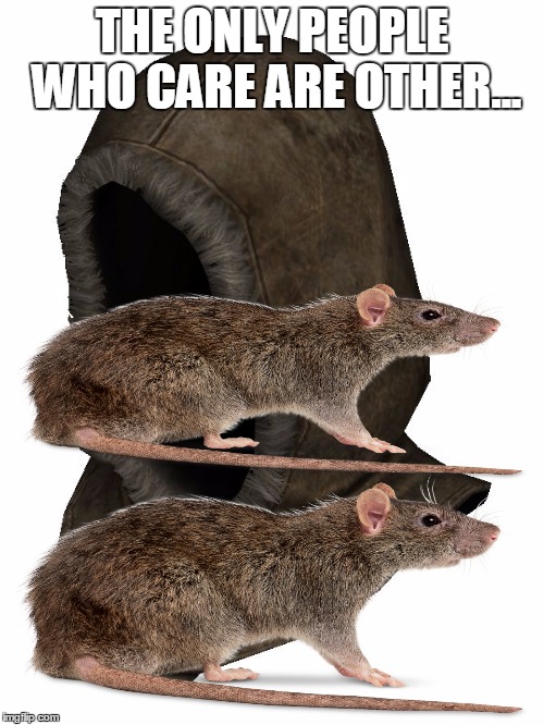 THE ONLY PEOPLE WHO CARE ARE OTHER... | image tagged in hood | made w/ Imgflip meme maker